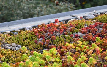 the cost of Fishtoft Drove green roof installation